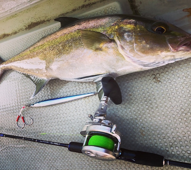 スロージギング カンパチ