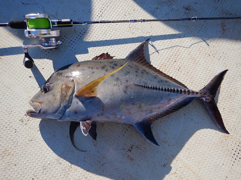 スロージギングロッド
