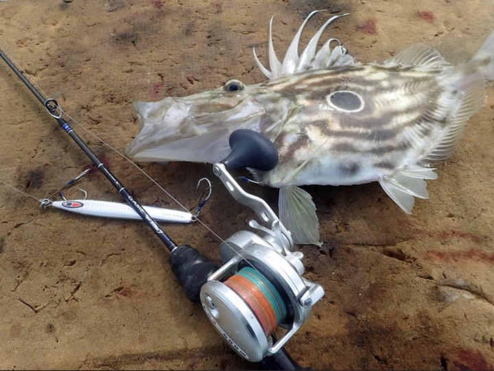 ゲームタイプスローj釣果