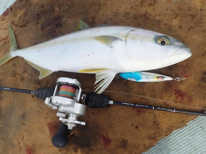 ゲームタイプスローj釣果