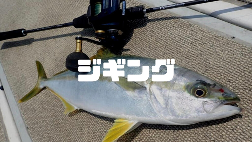 ジギング