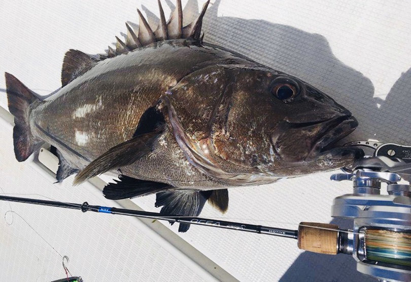 スロージギングリール