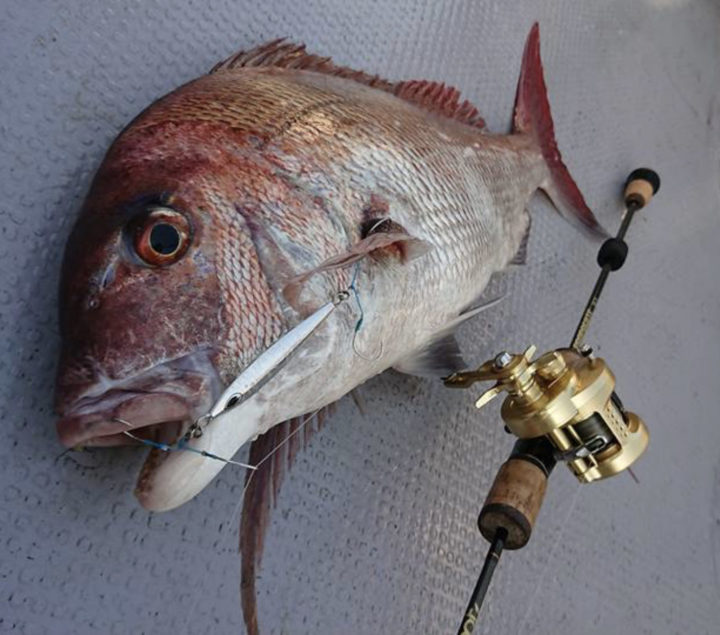 sljベイトリール