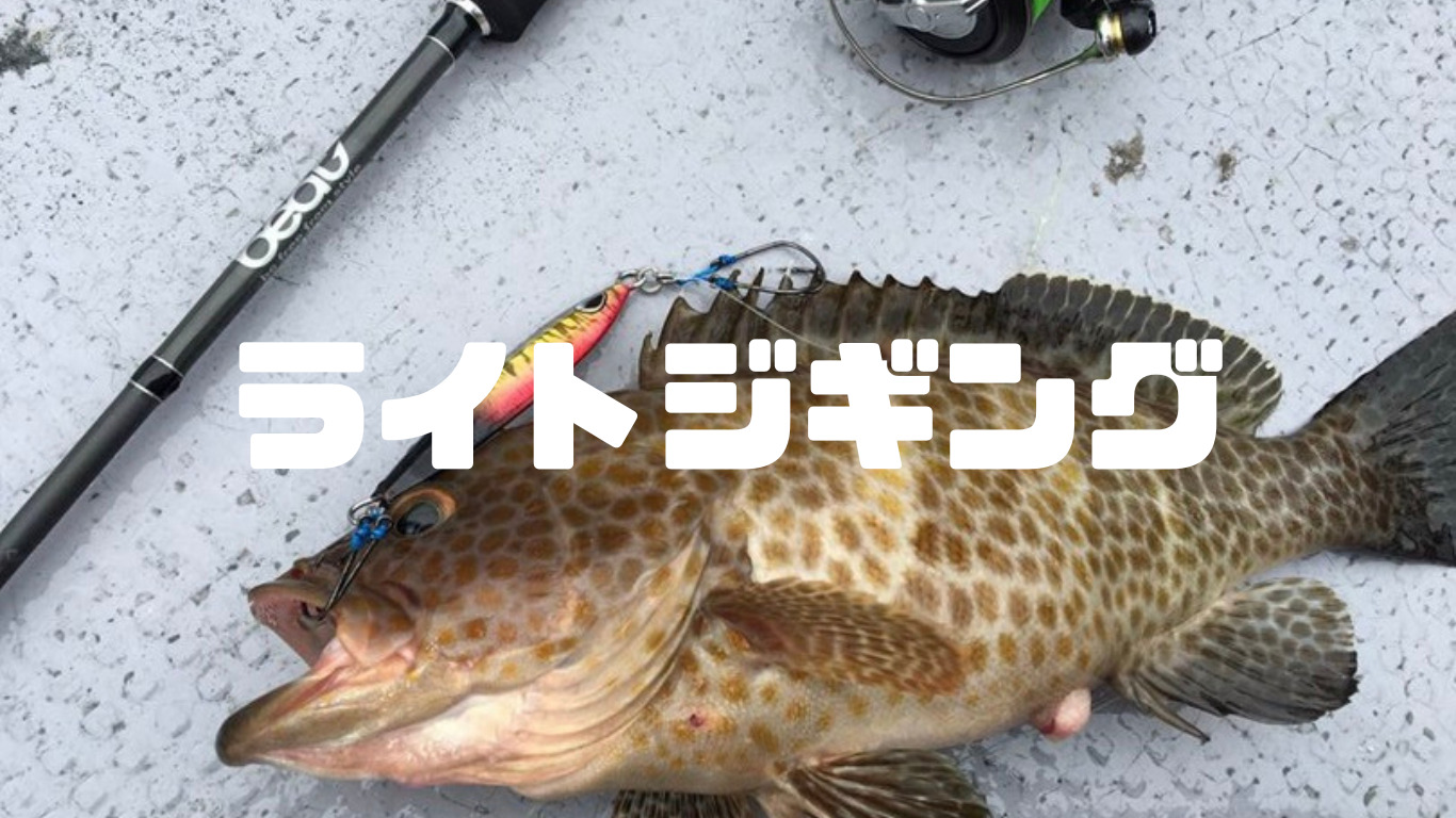 ライトジギング