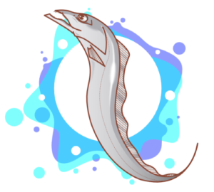 太刀魚ジギング