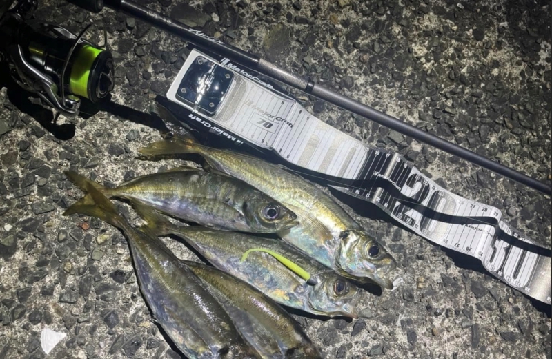 鯵道5g s582l