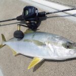 釣り ロッド、釣り竿 グラップラータイプLJ【インプレ】コスパ抜群のライトジギング 